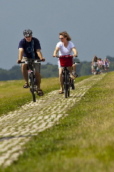 Radeln auf Deich.jpg